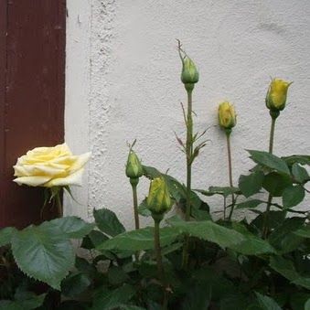 Richard Tupper Photo 10