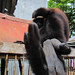 Stephen Gibbons Photo 39