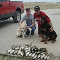 Carl Stephens Photo 2