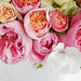 Linda Flower Photo 33