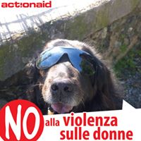 Silverio Vitiello Photo 1