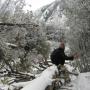 Calvin Meadows Photo 15