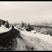 Garry Winters Photo 24