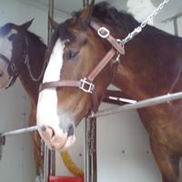 Christy Bradley Photo 1