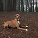 Darren Baxter Photo 32
