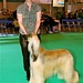 John Vowles Photo 21