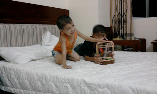 Le Doan Photo 15