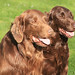 Ted Moser Photo 25