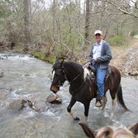 David Proctor Photo 9