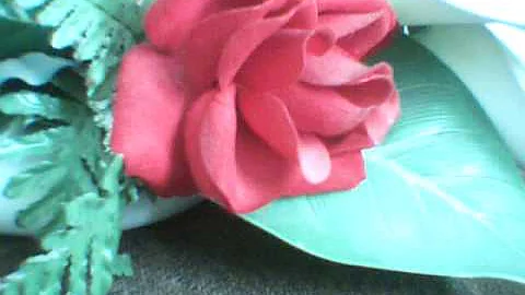 Debbie Xiong Photo 20
