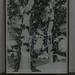 Bruce Feld Photo 14