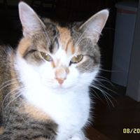 Sue Butts Photo 2