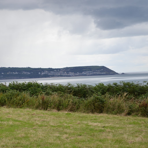 Daryl Roberts Photo 16
