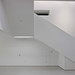 Joshua White Photo 43