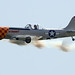 Josh Wilson Photo 40