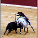 Cesar Ventura Photo 37