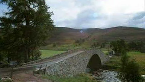 Graham Wilson Photo 38