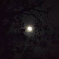 Mark Pimentel Photo 8