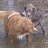 Tammy Whitford Photo 11
