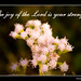 Joy Bible Photo 16