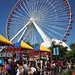 Ferris Cook Photo 10