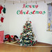 Paul Balfe Photo 14
