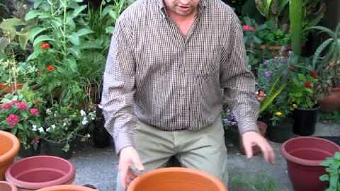 Robert Bornstein Photo 20