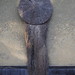 Robert Cheetham Photo 22