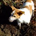 Sallie Russell Photo 18