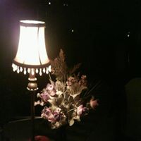 Teri Lester Photo 3
