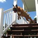 Kayla Dickerson Photo 28