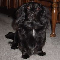 Michael Geisinger Photo 1
