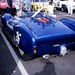 Shelby Cooper Photo 37