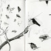 Elizabeth Graff Photo 30