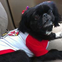 Darlene Warner Photo 5