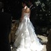 Jennifer Zeno Photo 21