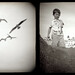 Colin Bird Photo 35
