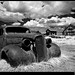 Rusty Rush Photo 29