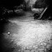 Diana Hughes Photo 41