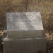 Thomas Todd Photo 43