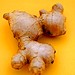 Ginger Withee Photo 8
