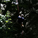 Zeb Johnson Photo 24