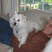 Rob Mattingly Photo 27