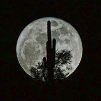 Debra Vanderpool Photo 3