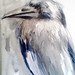Stephanie Crow Photo 34