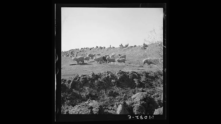 Charles Fulton Photo 34