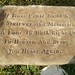 Frederick Conroy Photo 22