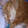Janice Scully Photo 18