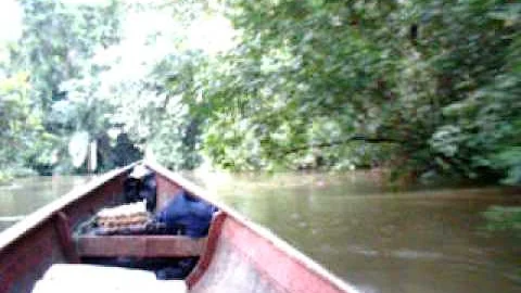 Steven Moorman Photo 13