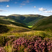 Heather Lowther Photo 26